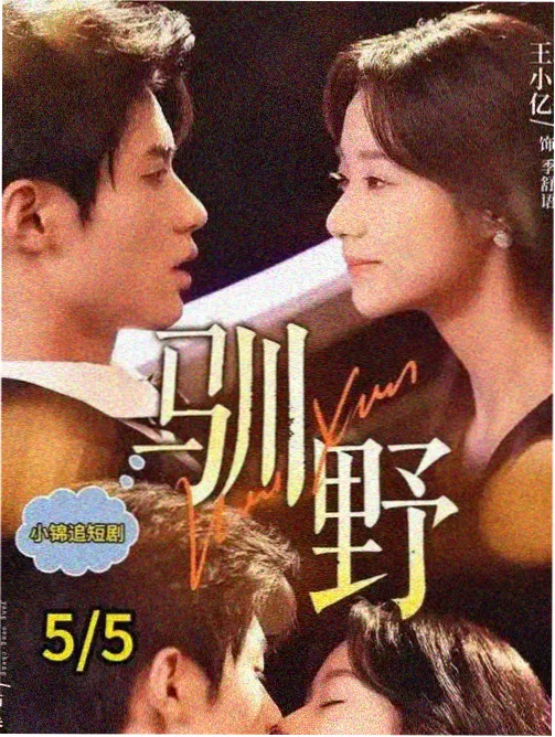 内衣办公室在线 专题 都市职场